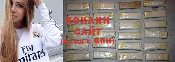 амф Богданович