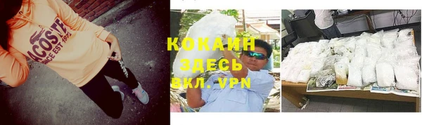 амф Богданович
