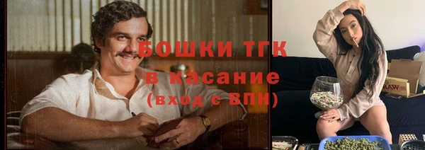 амф Богданович