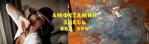 амф Богданович