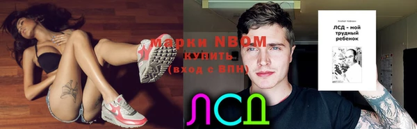 амф Богданович