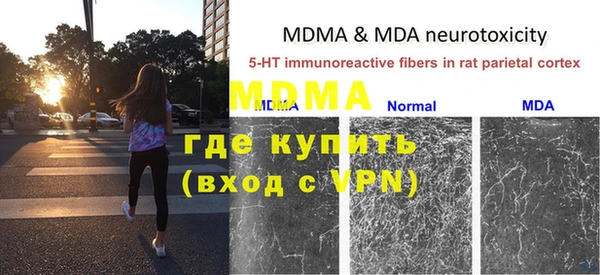 амф Богданович