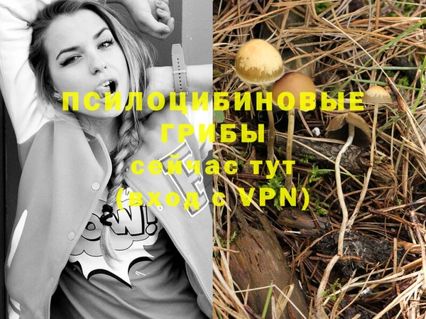 метамфетамин Богородск