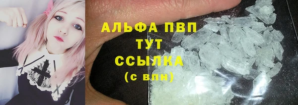 амф Богданович