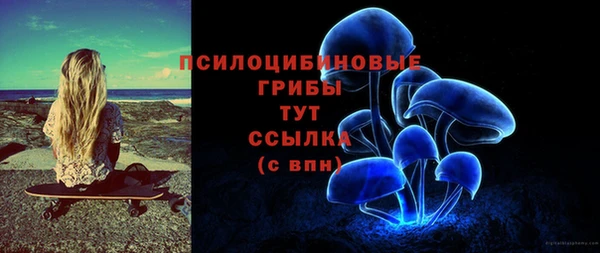 apvp Богородицк